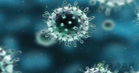 巨细胞病毒感染不能吃什么，巨细胞病毒感染的注意事项