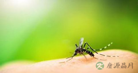登革热不能吃什么，登革热的注意事项