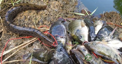 宫颈糜烂物理治疗痛吗