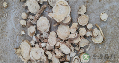 什么药治疗慢性宫颈炎