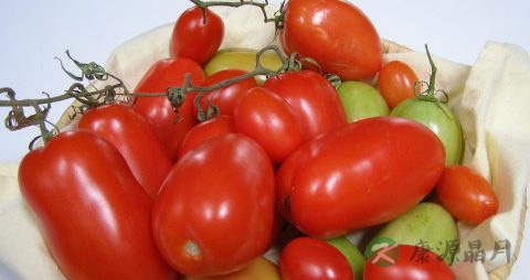 白化病可以吃番茄吗