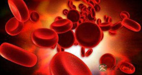 造血干细胞移植后能活几年