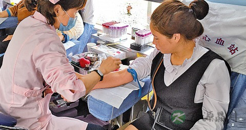 白血病能献血吗