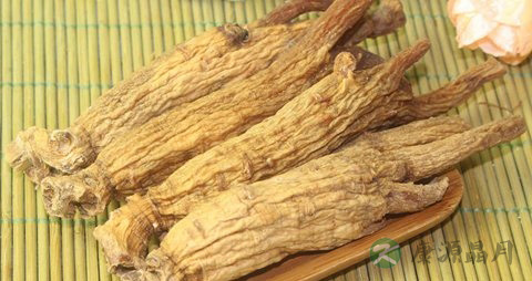 慢粒白血病吃什么补品