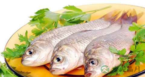 慢性白血病可以吃鱼吗