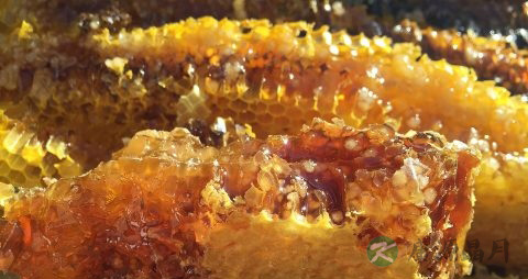 吃蜂蜜肿瘤长得快吗