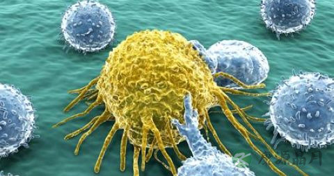 肿瘤和癌症的区别是什么
