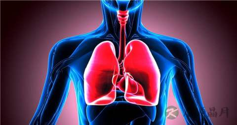肺癌转移到淋巴还能活多长时间