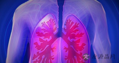肺腺癌和肺癌的区别