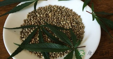 继发性肝癌有活的吗