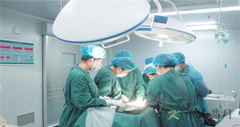 睾丸肿瘤怎么办 睾丸肿瘤怎么办