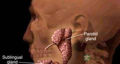 腮腺肿瘤有哪些临床表现