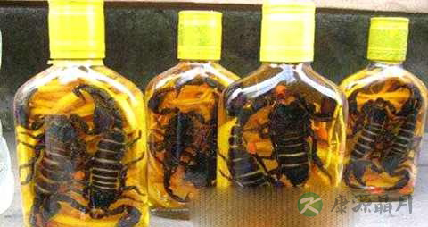 蝎子泡酒怎么治疗风湿