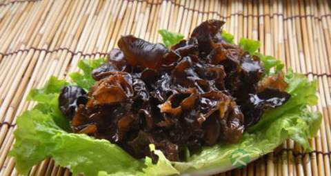 左手心发麻是什么原因