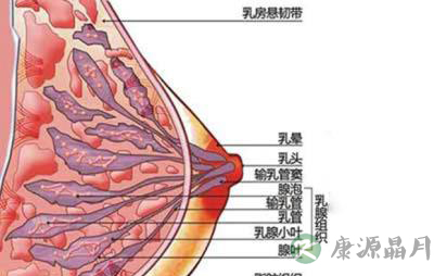 如何挑逗女性乳头