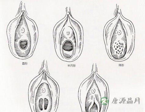 深度探秘女人私处娇羞地带