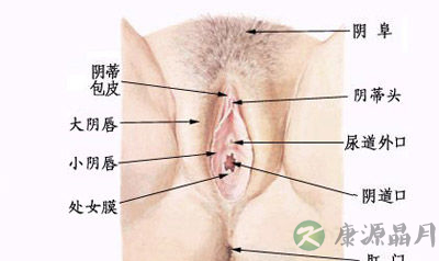 阴道里那些引发高潮的销魂穴