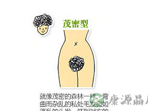 最美的三种不同类型阴部形状