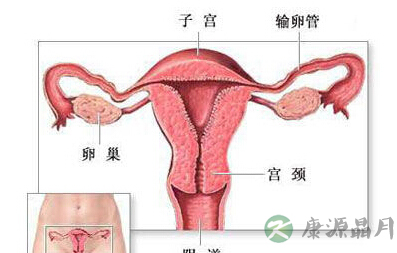 性爱中阴道对丁丁的爱抚全过程