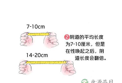 套图：阴道有多长，能容纳多大丁丁
