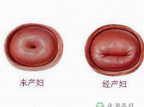 深度探秘女人私处娇羞地带