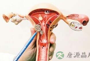 性爱中阴道对丁丁的爱抚全过程