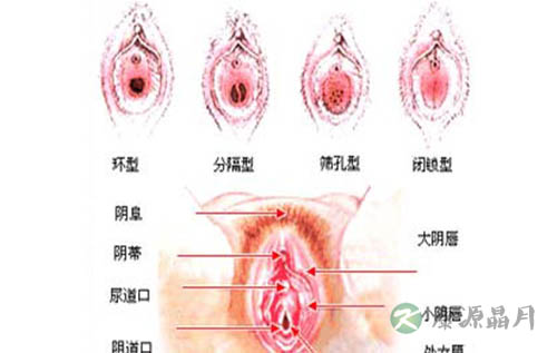 探索女人私处的那一片“黑森林”