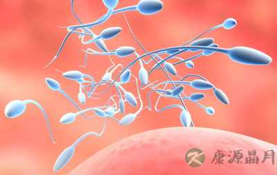 精子是怎样“爬”到子宫深处的