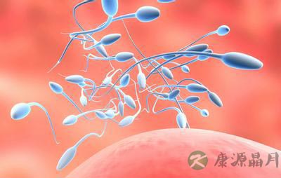 强壮精子被谁给“残害”了