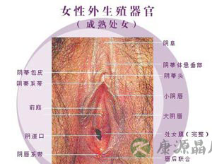 详解：最真实的女人阴道图片
