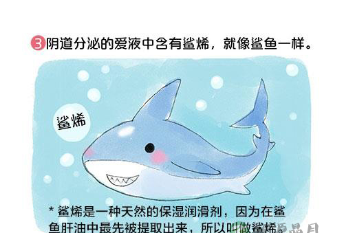 套图：阴道有多长，能容纳多大丁丁