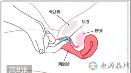 图文详解:女人G点具体在哪里