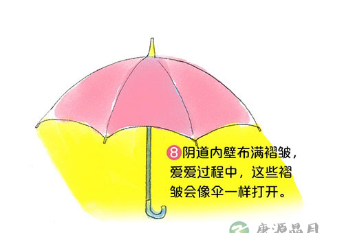 套图：阴道有多长，能容纳多大丁丁