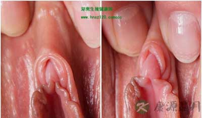 嘿咻过程中阴道如何拥抱丁丁