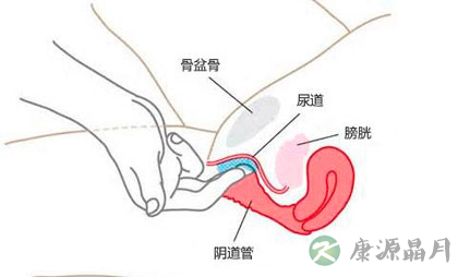 看图：比G点更刺激的A点U点在哪