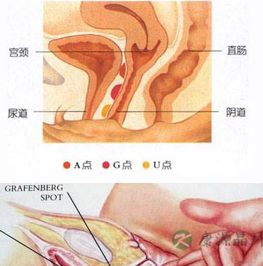 深度探秘女人私处娇羞地带