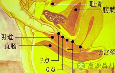 处女私处真的是粉木耳吗？