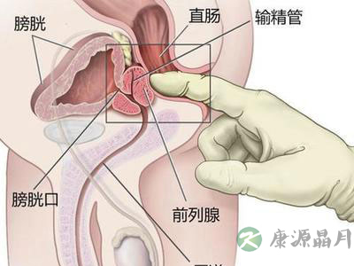 详解女性阴蒂阴道口的位置