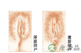 女人阴道到底多深