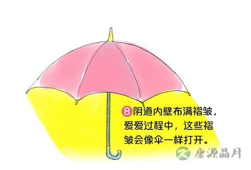 套图：阴道有多长，能容纳多大丁丁