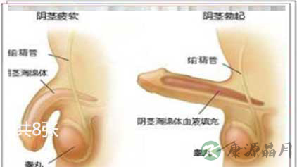 阴茎勃起后多大才能满足女性需求？