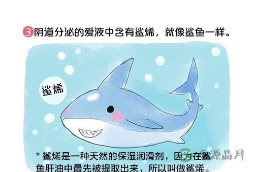 套图：阴道有多长，能容纳多大丁丁