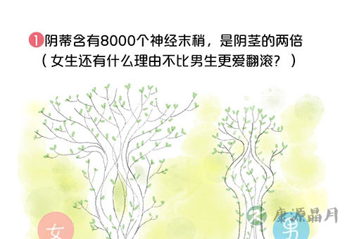 套图：阴道有多长，能容纳多大丁丁