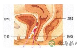 看图：比G点更刺激的A点U点在哪