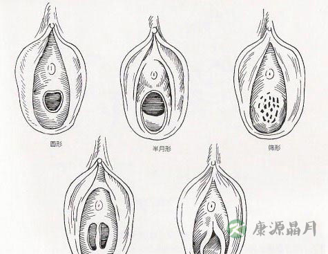 深度探秘女人私处娇羞地带