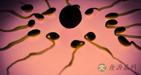 精子质量标准是多少