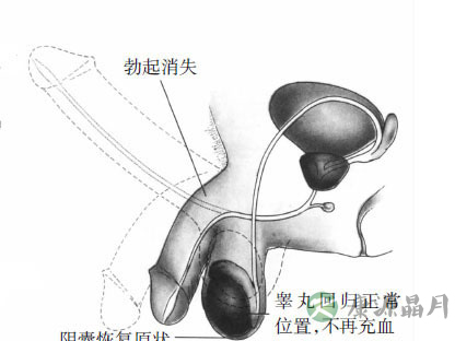 女性阴唇高潮时湿度颜色变化
