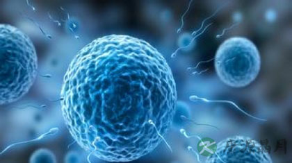 男性的精子是什么