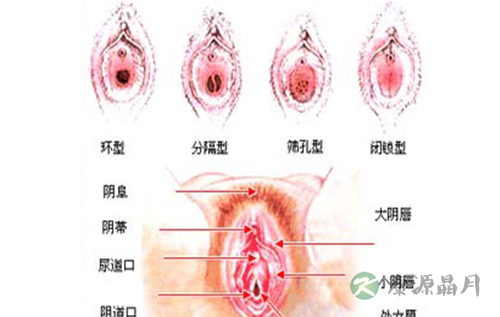 深度探秘女人私处娇羞地带