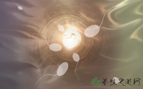 精液对女人有滋养作用吗
